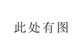 民丰遇到恶意拖欠？专业追讨公司帮您解决烦恼